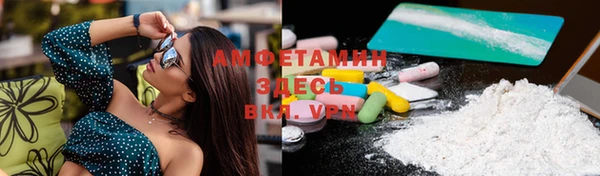 прущие грибы Баксан