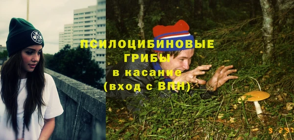 МДМА Заводоуковск